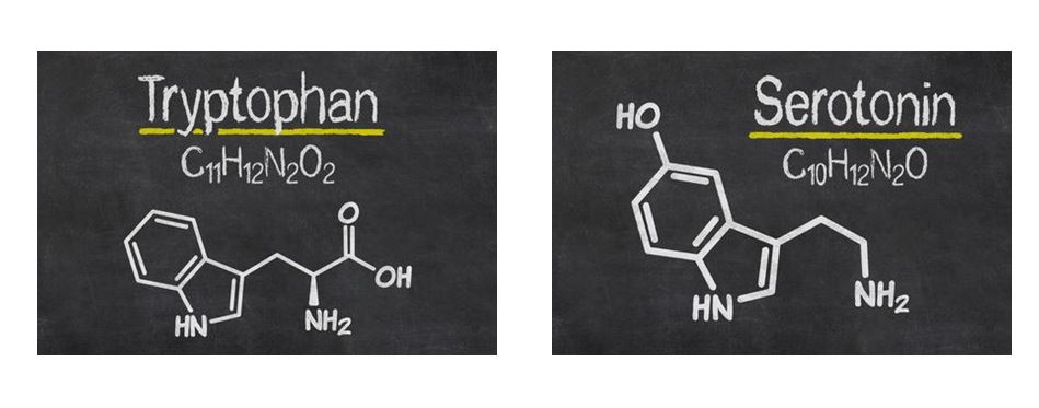 Tryptophan_Serotonin_Magazin_Freshbox